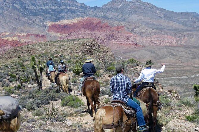 2-Hour Horseback Riding through Red Rock Canyon - Who Is This Tour Best For?