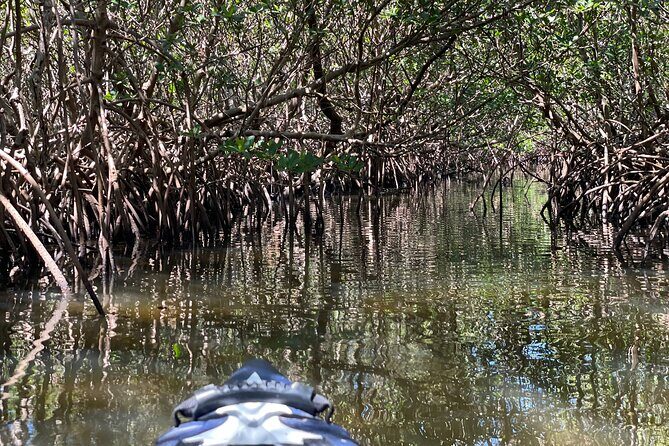 2- Hour Jungle Tour at Prehistoric Preserve Site in Fort Pierce - Detailed Itinerary and Highlights