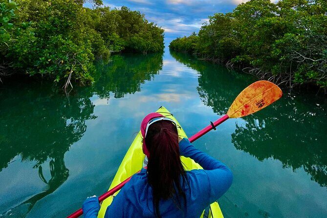 2 Hour Key West Kayak Rental  Discover Mangroves & Wildlife! - What to Expect from the Kayak Rental