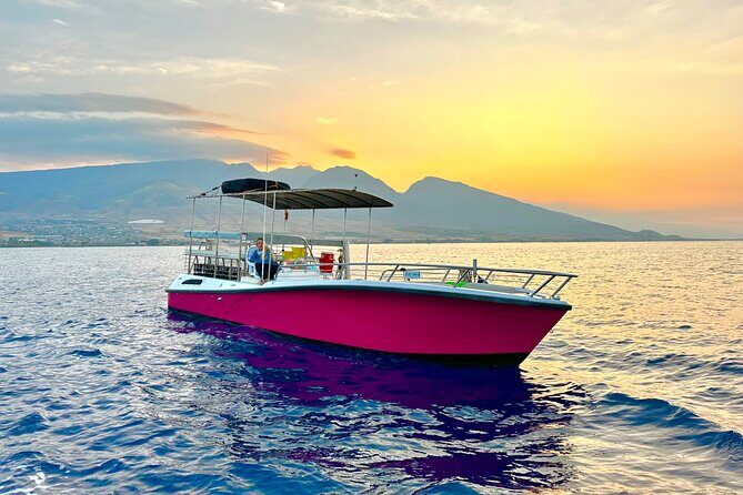 2 hour Lahaina Sunrise Whale Watch - Who Will Love This Tour?