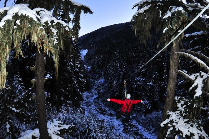 2 Hour Late Afternoon Winter Zipline Adventure - The Sum Up