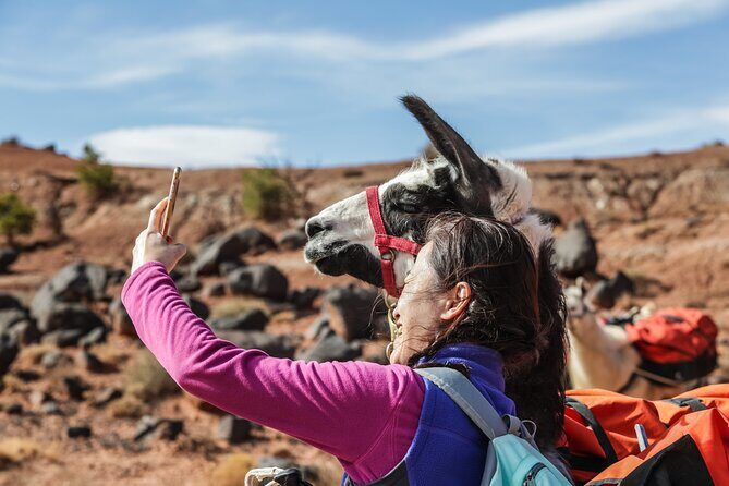 2-Hour Llama Hike - What Travelers Love About This Experience