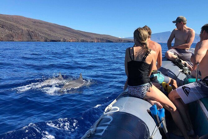 2 Hour Maui Dolphin Watch Sightsee Raft Tour (Semi-Private) - What to Expect on Your Maui Dolphin Watch Raft Tour