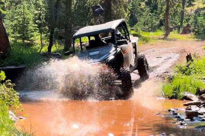 2 Hour Park City UTV Adventure Rental (4 Seater RZR) - The Sum Up: Who Is This Adventure Best For?