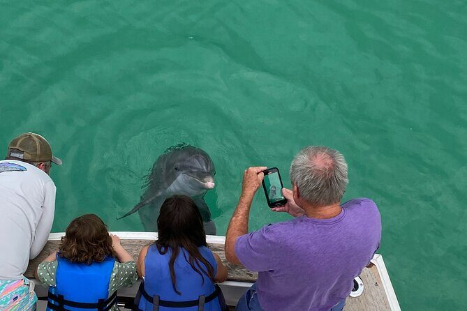 2 Hour Private Dolphin Sightseeing Tour - Why Travelers Rave About It