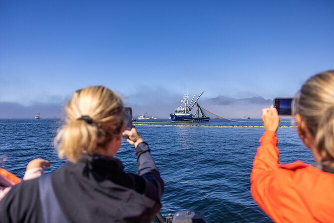 2 Hour Private Marine Wildlife Tour - What Makes the 2 Hour Private Marine Wildlife Tour Special?