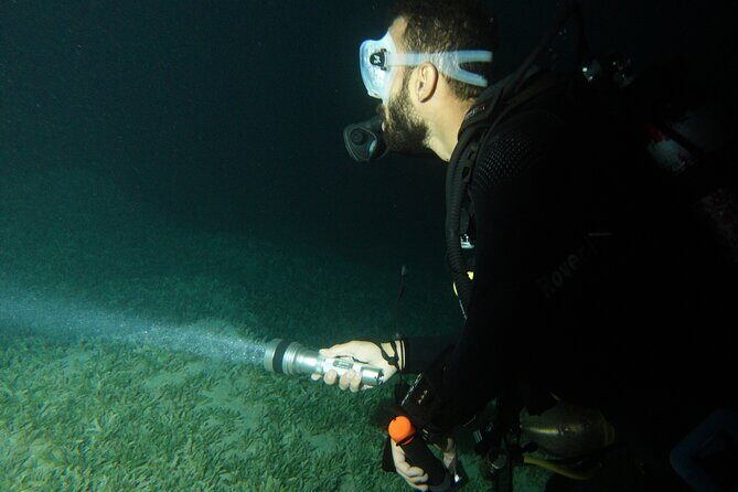 2 Hour Private Night Diving in the Red Sea of Aqaba - Why This Tour Is an Excellent Choice
