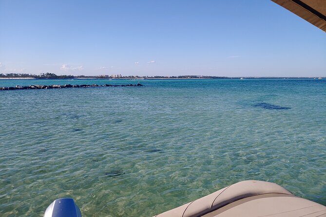 2-Hour Private Sightseeing Dolphin Tour in Panama City Beach - What Travelers Say