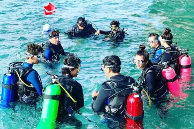 2-Hour Scuba Diving Experience for Beginners in Central Florida - What to Expect from the Experience