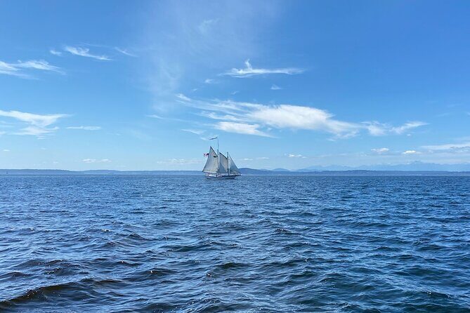 2-Hour Seattle Sailing Harbor Tour - Authentic Experiences and Passenger Perspectives