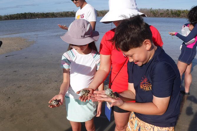 2-hour Shelling Boat Tour in the 10,000 Islands - What to Expect During the Tour