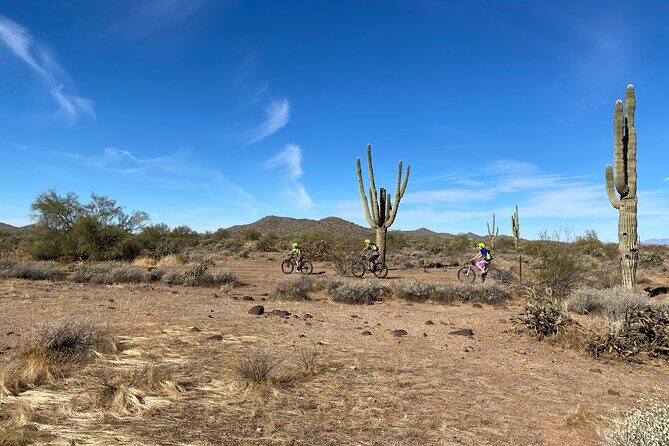 2 Hour Sonoran Desert Private Guided Mountain Bike Tour - The Value of the Experience