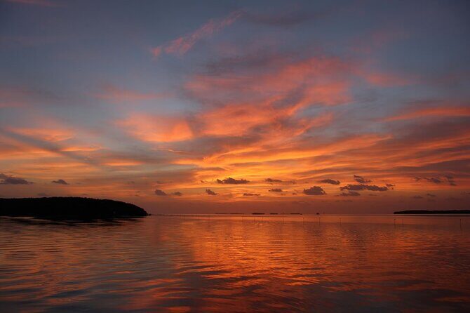 2 Hour Sunset Eco-Cruise - Wildlife and Ecological Highlights