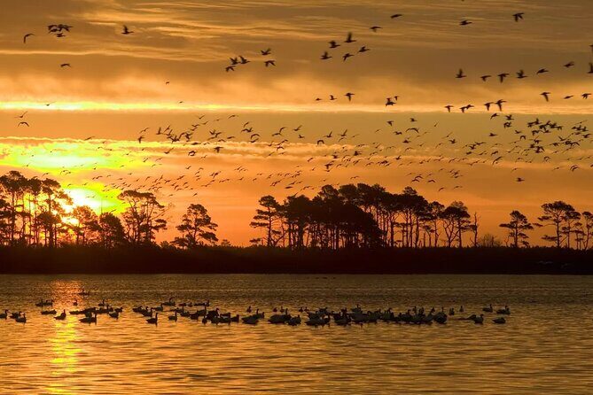 2-Hour Sunset Pontoon Boat Rental in Chincoteague Island, VA - The Downside: What to Watch Out For