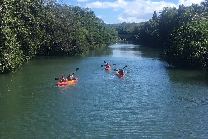 2-hour tandem kayak rental - Authentic Encounters and Crowd Insights