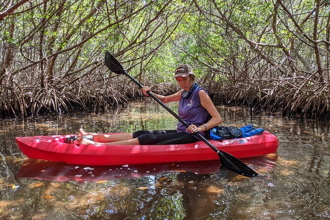 2 Hour Tandem Kayak Tour (Price for 2 People) - Who Will Love This Experience?