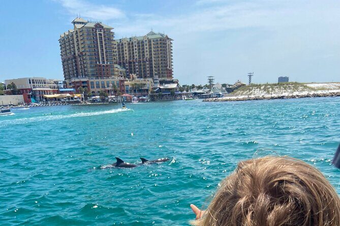 2 Hours Guided Dolphin Tour in Florida - Who Should Take This Tour?