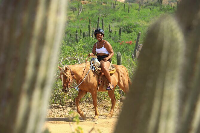 2 Hours Horseback Riding Adventure in Cabo - Analyzing the Cost and Value