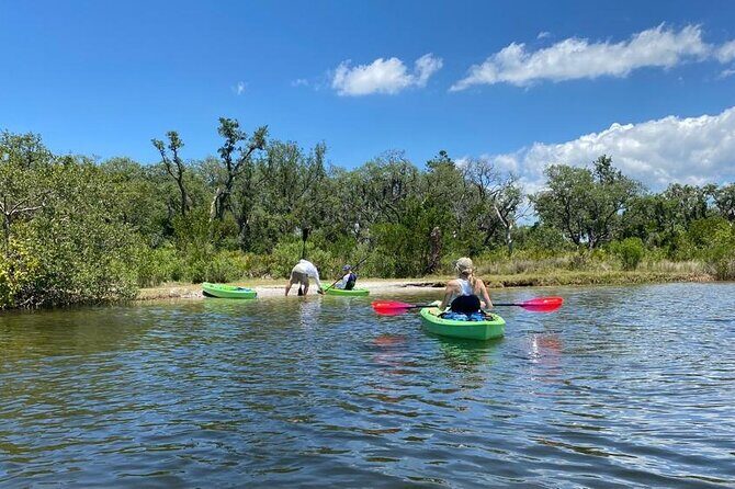 2 Hours Kayak Eco Tour in Tarpon Springs - Who Will Love This Tour?