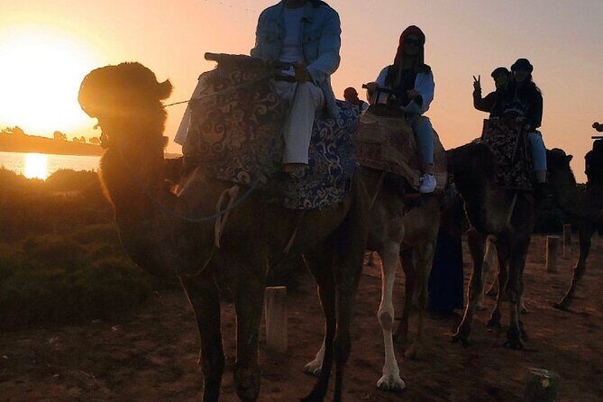 2 Hours Private Camel Ride in Agadir - The Itinerary: What to Expect