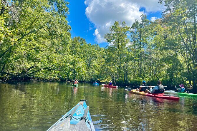 2-Hr Blackwater Kayak Tour just outside Charleston - Introducing the 2-Hour Blackwater Kayak Tour just outside Charleston