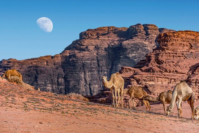 2-Night Private Jordan Secret Escape Tour: Petra, Wadi Rum, and Dead Sea - Who Will Love This Tour?