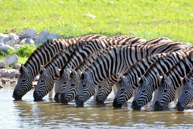 2-Nights 5-star Sanbona Game Reserve with private transfers to and from Sanbona - Introduction