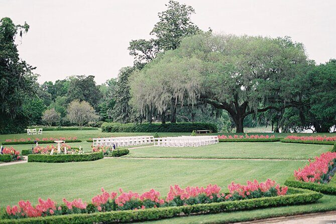 2 of Charleston's finest plantations in one tour - What to Expect with the Experience