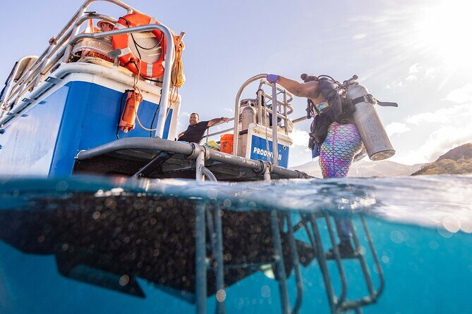 2-Tank Dive Featuring the Molokini Crater - The Sum Up