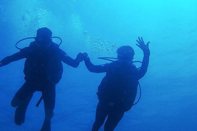 2 Tank Dive (for certified divers) - Final Thoughts: Is It Worth It?