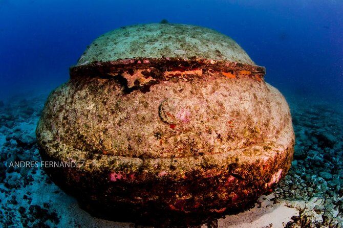 2 Tank Dives MUSA and Manchones reef (Certified divers) - A Closer Look at the Tour Experience