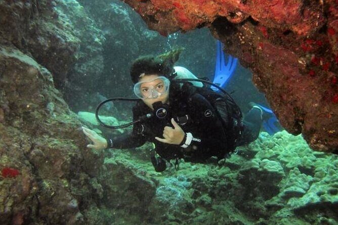 2 Tank Shore Dive at Sea Turtle Cove - Why This Tour Offers Great Value