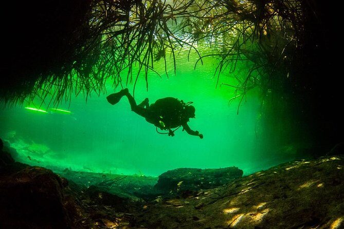 2 tanks Cenote Diving Adventure in Tulum for Certified Divers - What’s Included & What’s Not