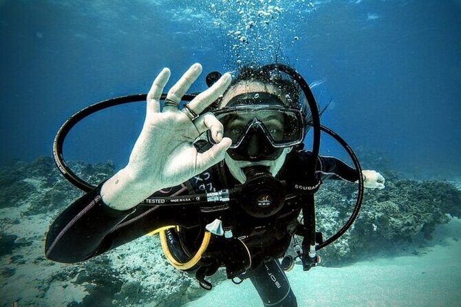 2 tanks for certified divers - The Itinerary: What to Expect