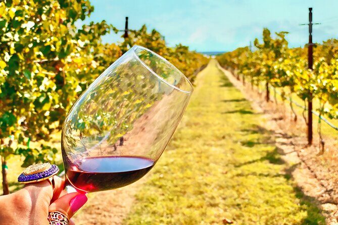 2 to 5 Guests Fredericksburg Private Mercedes SUV Wine Tour - What’s Included and What’s Not