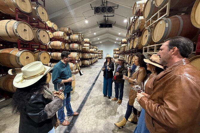2 to 5 Guests Fredericksburg Private Mercedes SUV Wine Tour - Transportation & Comfort
