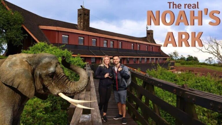 2Days Aberdares National Park Safari Package - The Value of the 2-Day Aberdare Experience