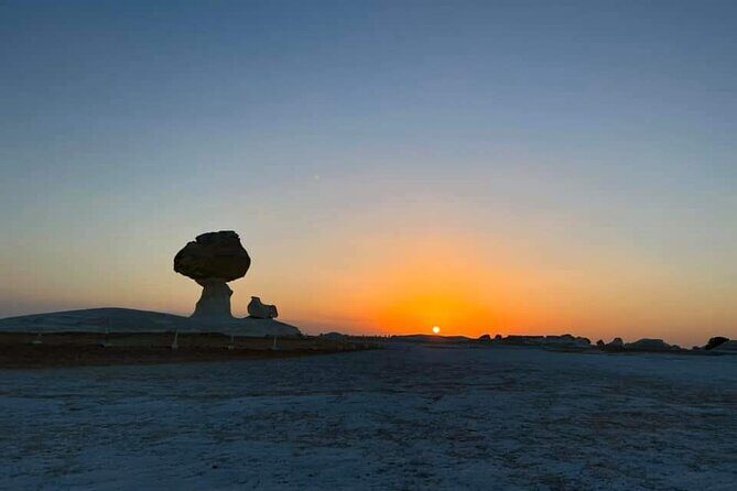 2Days to White Desert and Bahariya Oasis tour From Cairo & Giza - The Sum Up