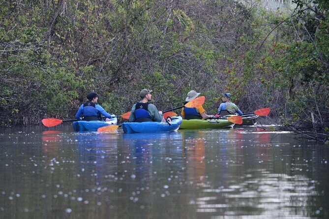 2Hour Everglades Kayak Safari Adventure Through Mangrove Tunnels - Who Should Consider This Tour?