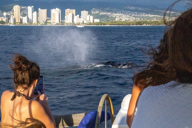 2hr Luxury Private Sailing Catamaran in Waikiki for 1-6 People - Who Will Get the Most Out of This Tour?