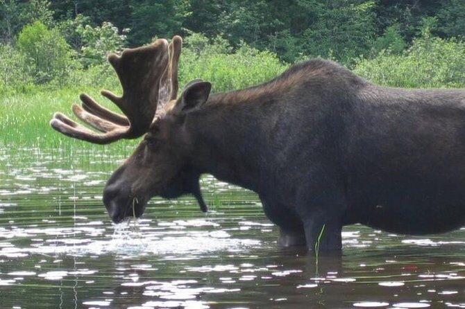 3-Day Algonquin Park Canoe Trip - What’s Included and What You’ll Need