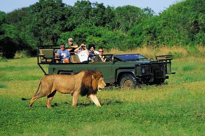3 Day Big 5 and Bungee Tour - Garden Route Small Group Tour from Cape Town - What Does the Value Look Like?