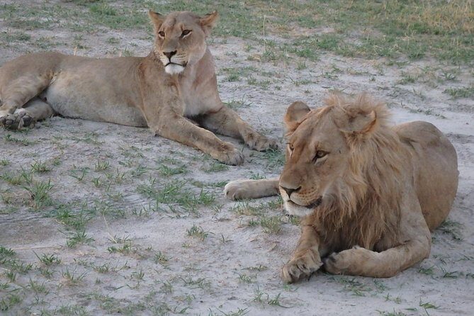 3 Day Desert Trail: Central Kalahari Game Reserve - WildCamping Safari - Practical Details and Considerations