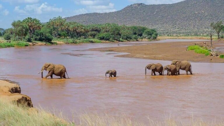 3-Day Great North Highway Adventure - The Experience of Traveling with Afrivine Tours