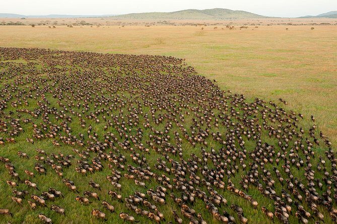 3 Day Joined Group Mid-range Safari Serengeti and Ngorongoro National Park - Who Will Love This Safari?