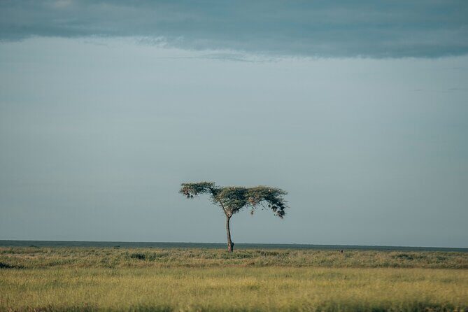 3-Day Manyara, Tarangire and Ngorongoro Crater - Why This Tour Offers Excellent Value