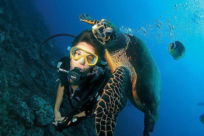 3-Day PADI Open Water Diving Course in Dubai - Dive Training and Equipment