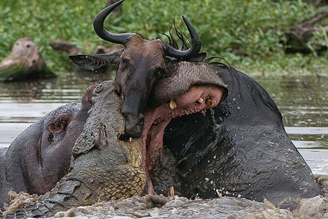 3 Day Private Safari in Serengeti and Ngorongoro National Park - Frequently Asked Questions