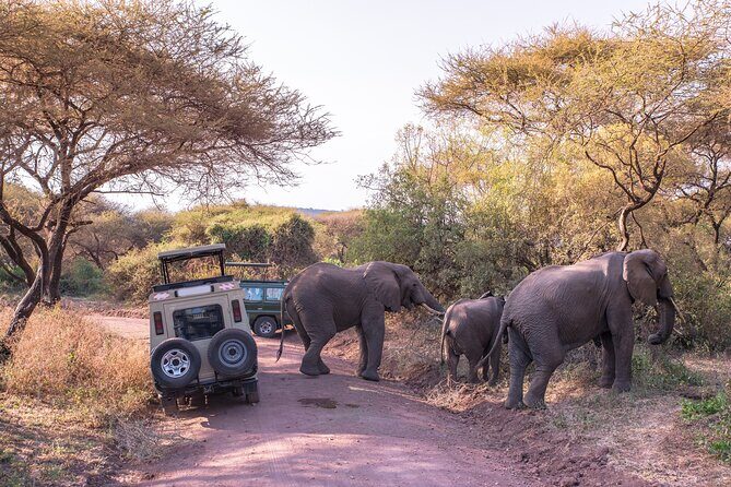 3-Day Private Safari to Lake Manyara, Tarangire & Ngorongoro - What the Tour Includes and What It Doesn’t