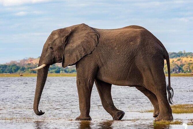 3 Day Safari to Serengeti National Park and Ngorongoro Crater - What Does the Itinerary Include?